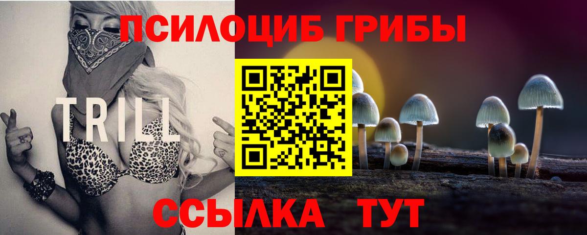Галлюциногенные грибы MAGIC MUSHROOMS  Вход с VPN  Заречный  Галлюциногенные грибы мухоморы 